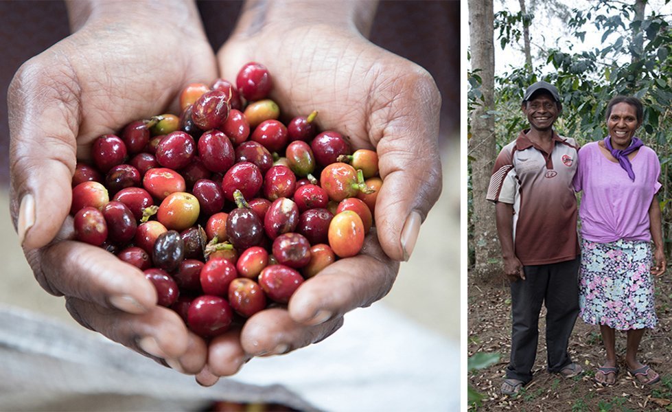 Charles and Stella grow coffee on their land in Papua New Guinea.